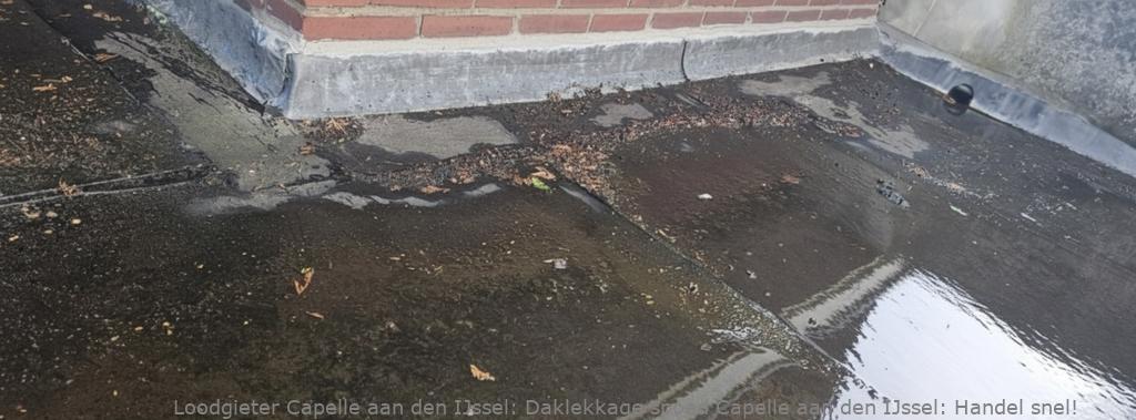Daklekkage Spoed Capelle Aan Den Ijssel