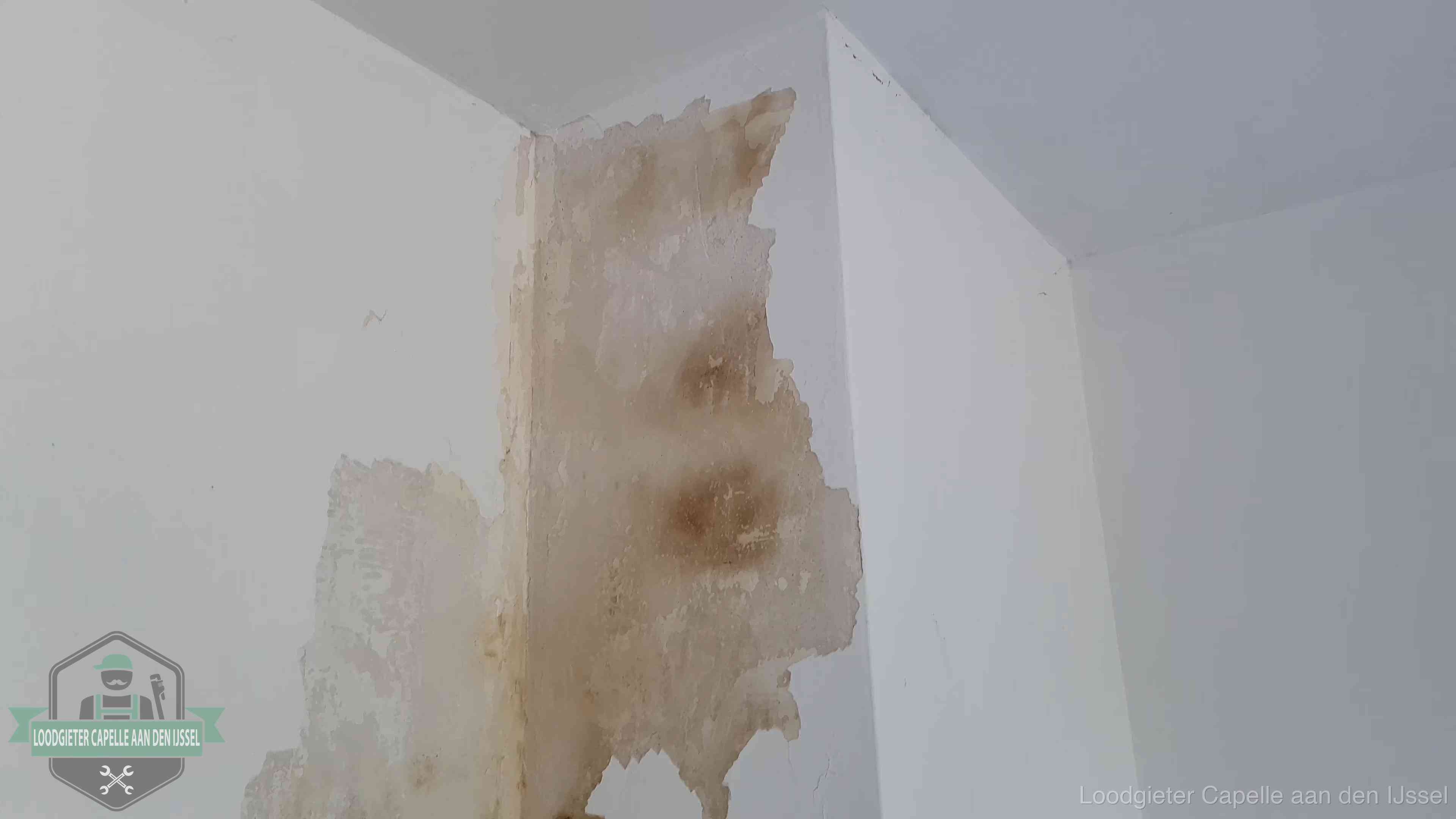 Bruine vochtkringen en afbladderend stucwerk op een binnenmuur in Capelle aan den IJssel, een eerste teken van daklekkage