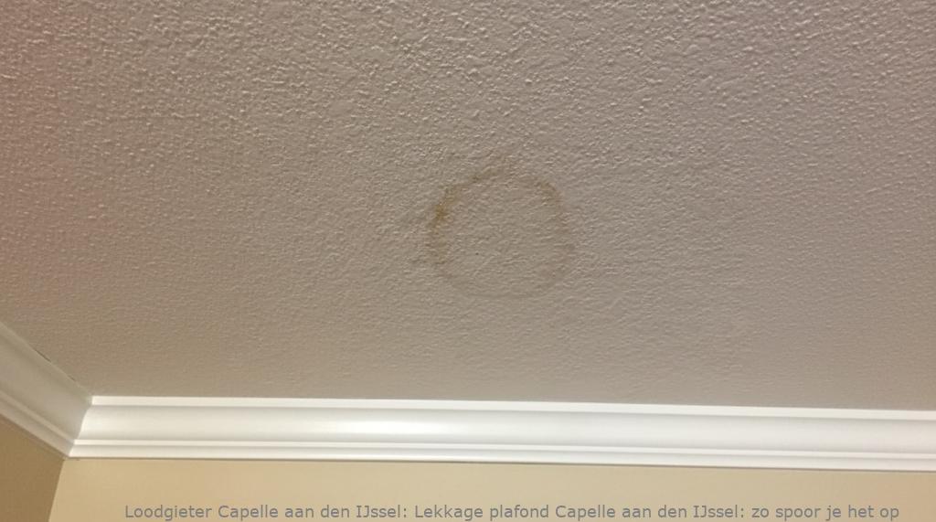 Lekkage Plafond Capelle Aan Den Ijssel