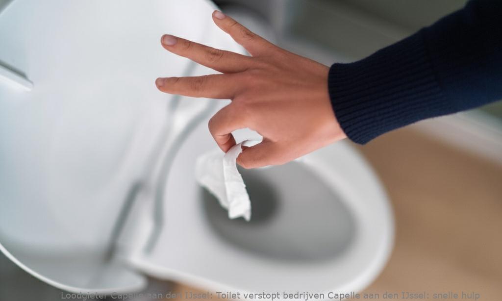 Toilet Verstopt Bedrijven Capelle Aan Den Ijssel