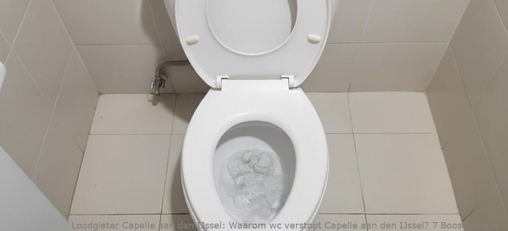 Waarom Wc Verstopt Capelle Aan Den Ijssel