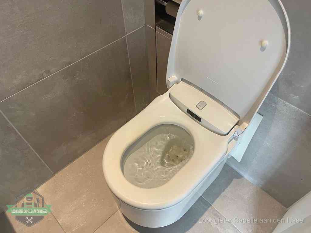 Wc Verstopt In Capelleaandenijssel